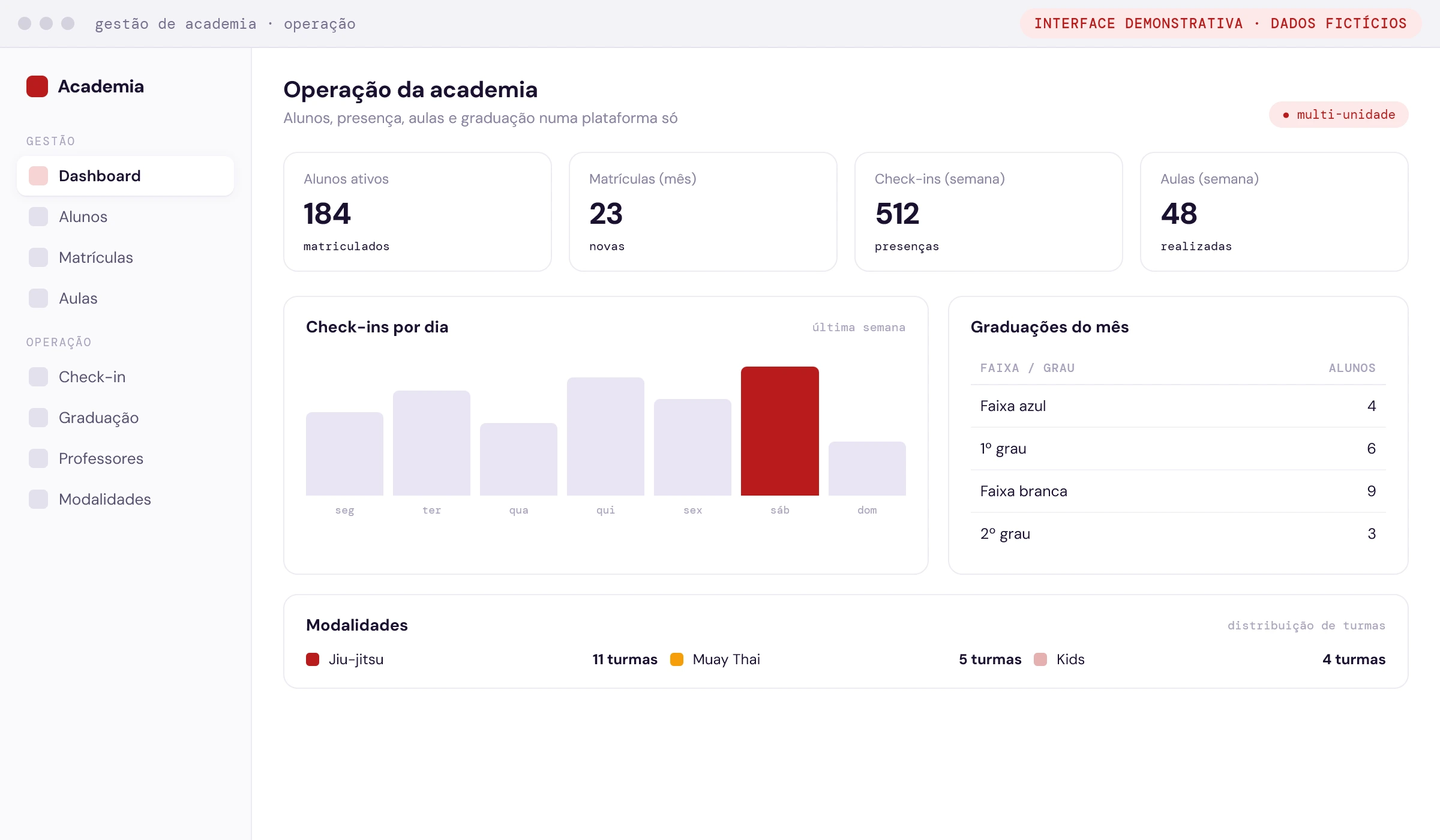 Operação de academia — alunos, presença e graduação (interface demonstrativa com dados fictícios)